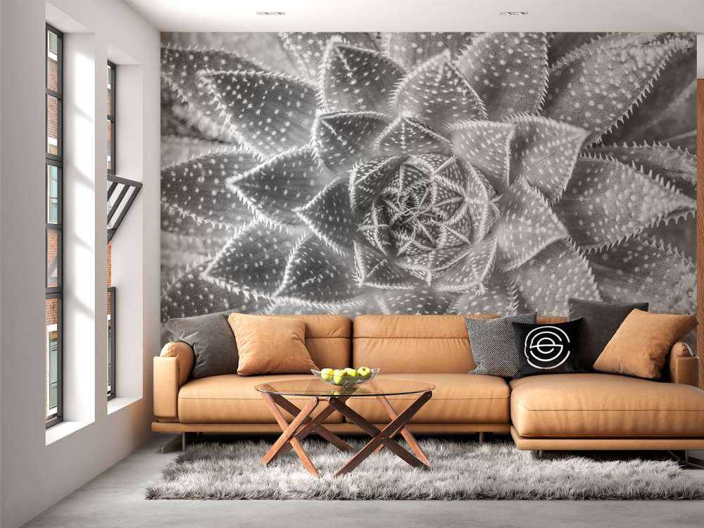 Primo piano di una succulenta