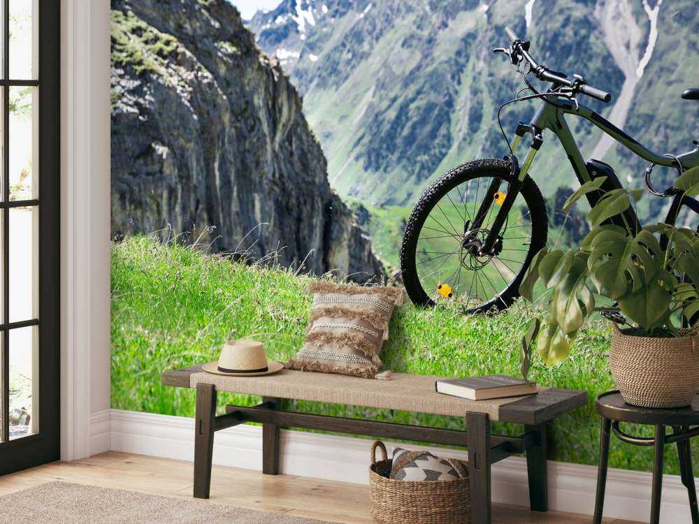 Bicicletta elettrica in Austria