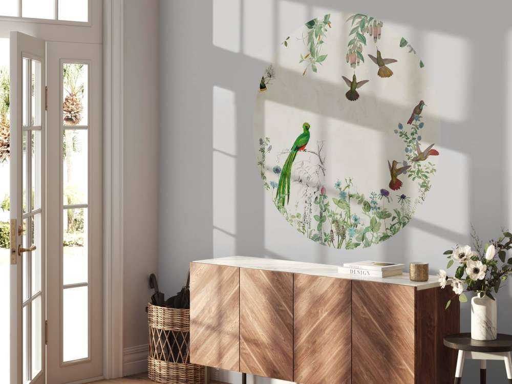 Campi di Uccelli Colorati