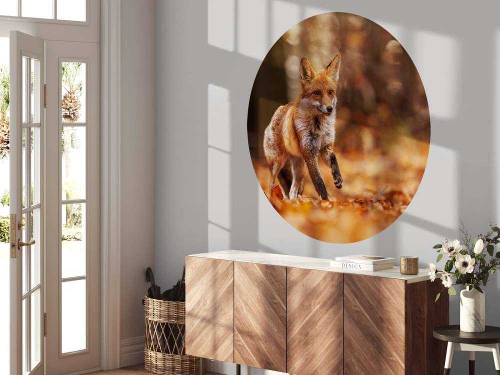 Colpi di Volpe Volo Autunnale