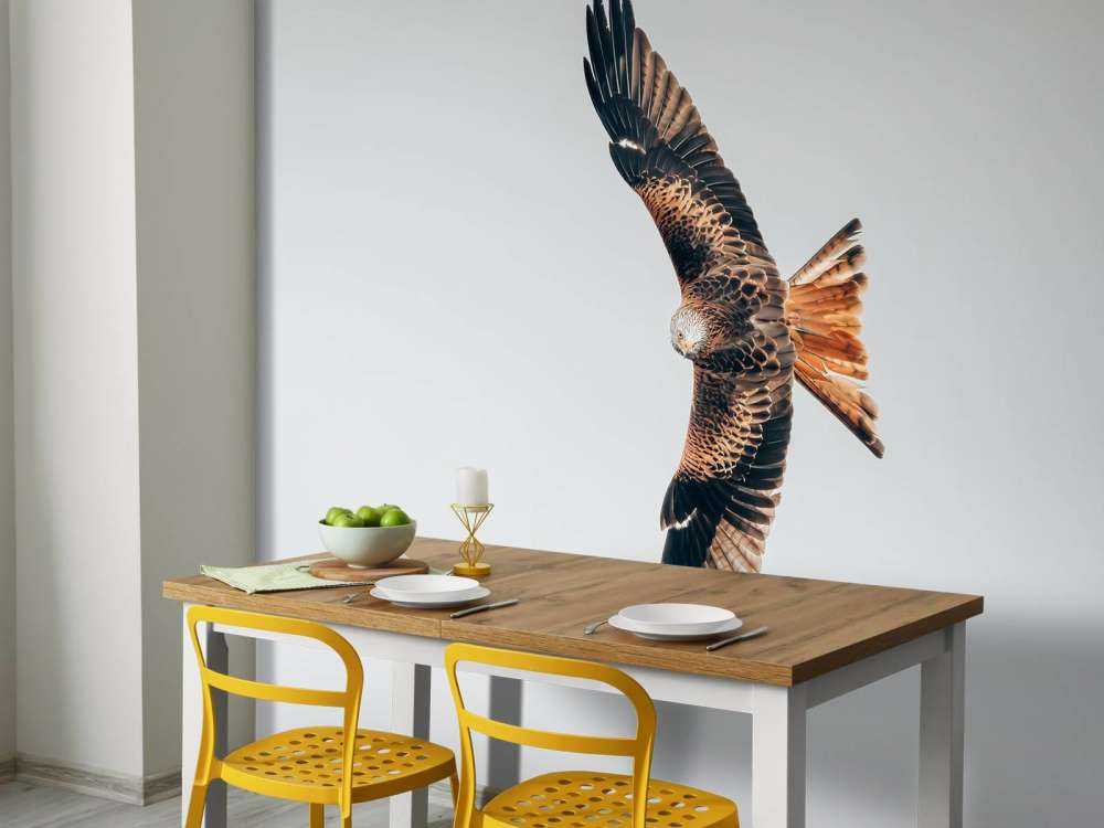 Nibbio rosso ad ali spiegate