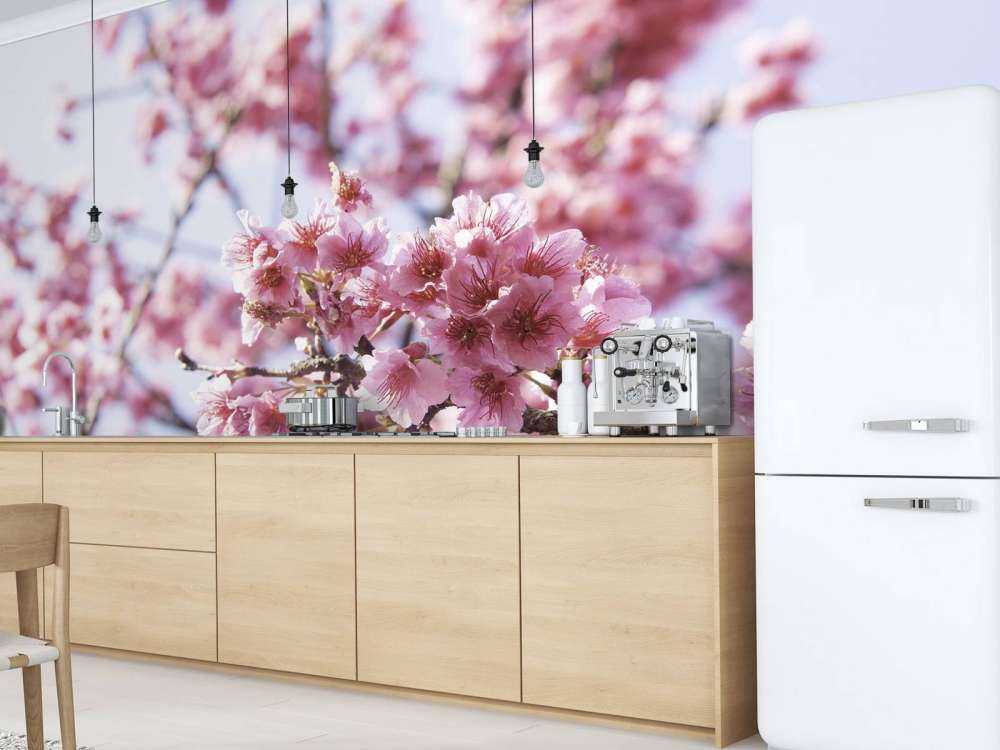 Fiore rosa in primo piano