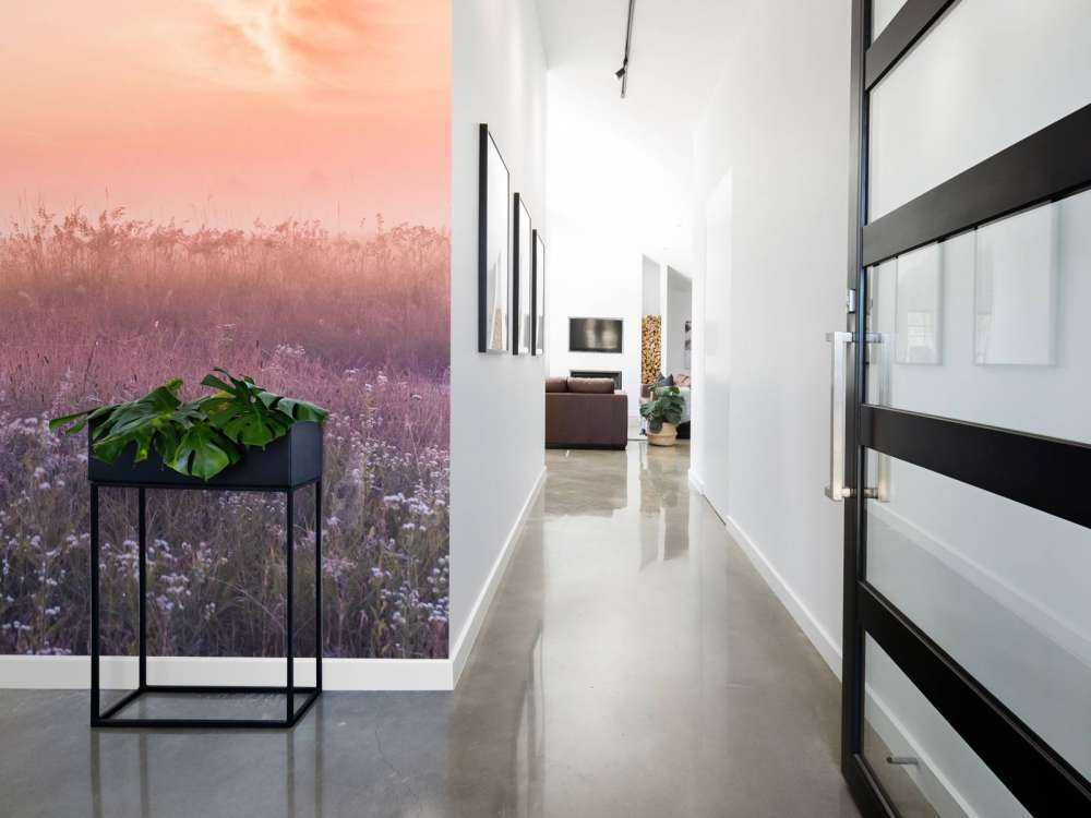 Campo con nebbia mattutina