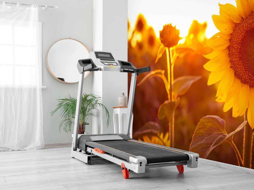 Campo di girasole caldo