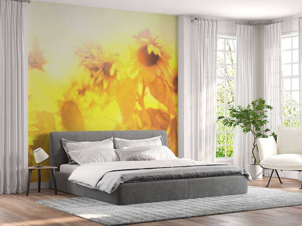 Panorama del girasole