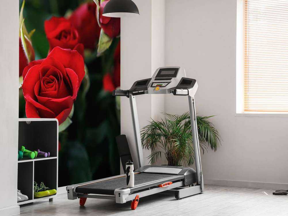 Cespuglio di rose rosse