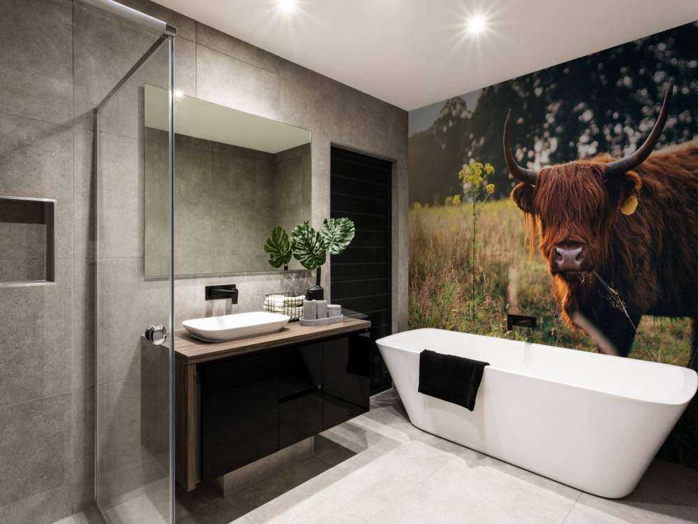 Highlander scozzese nell'erba alta