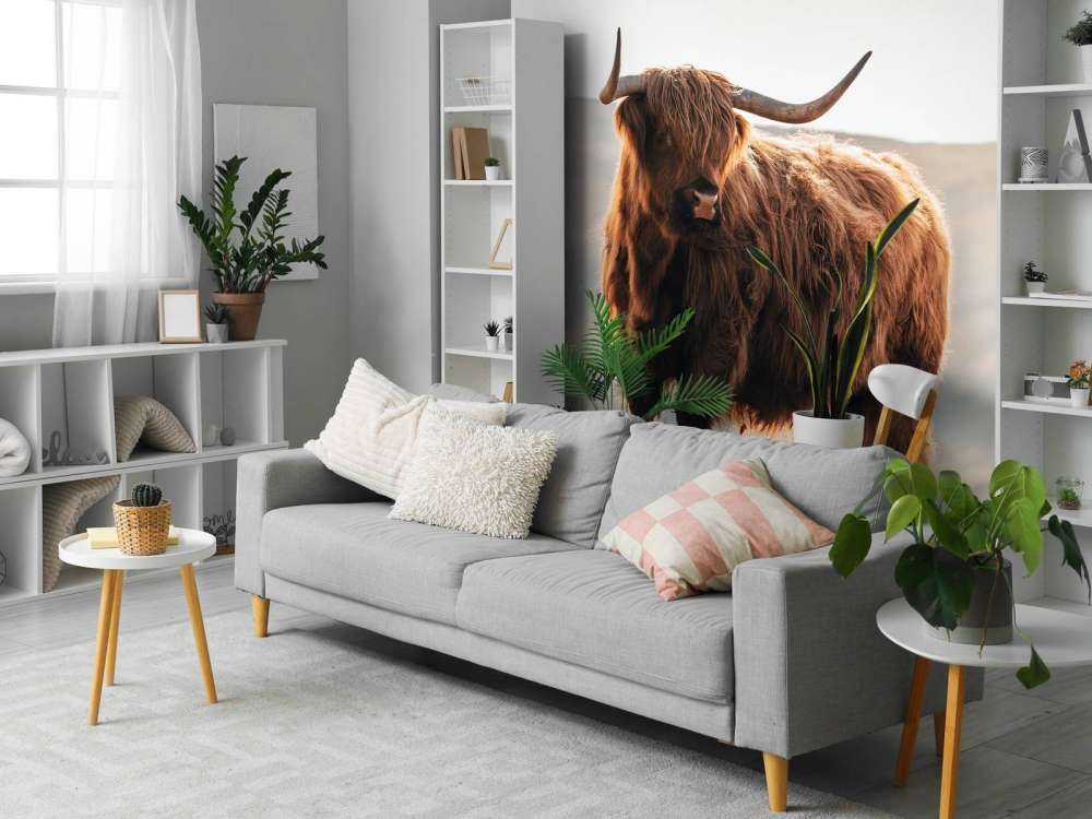 Highlander scozzese su una collina