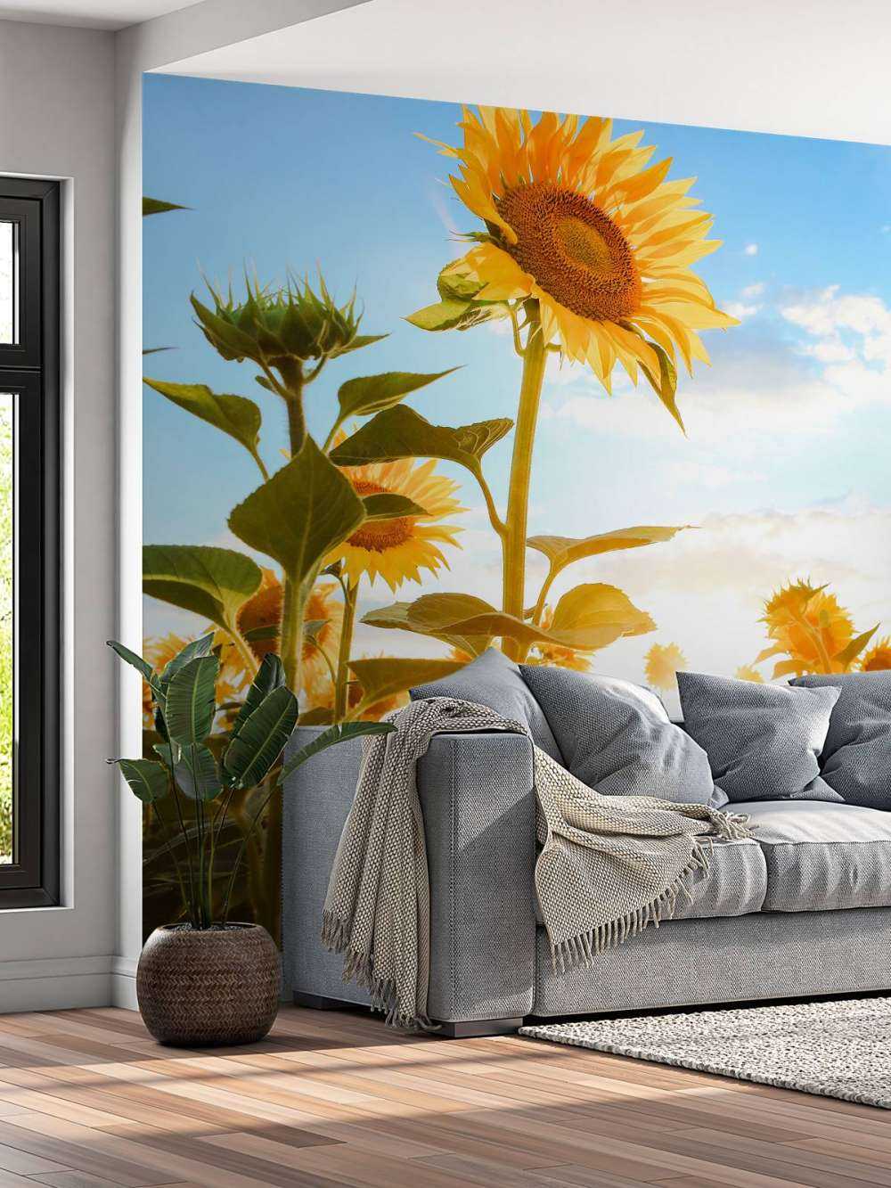 Girasole con cielo blu