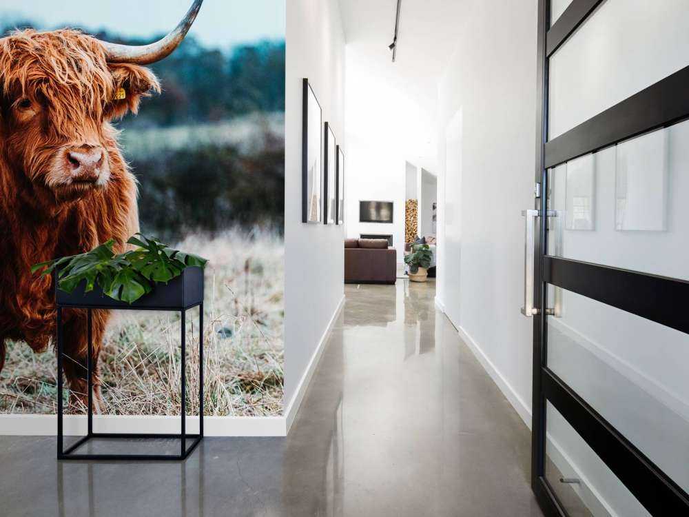 Highlander scozzese nella foresta