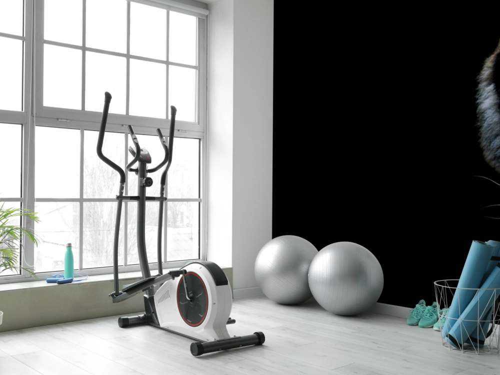 Panorama della tigre