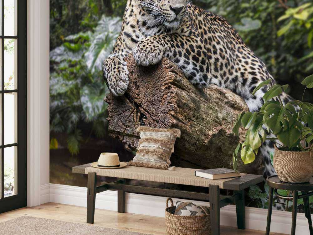 Leopardo su albero