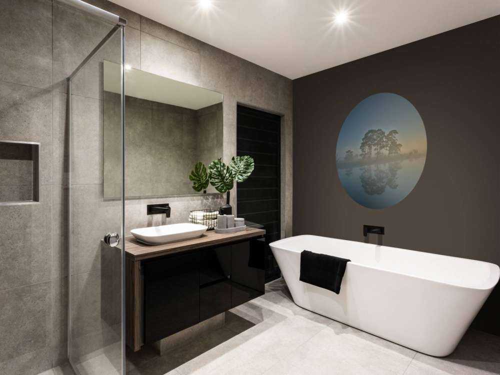 Nebbia nella brughiera