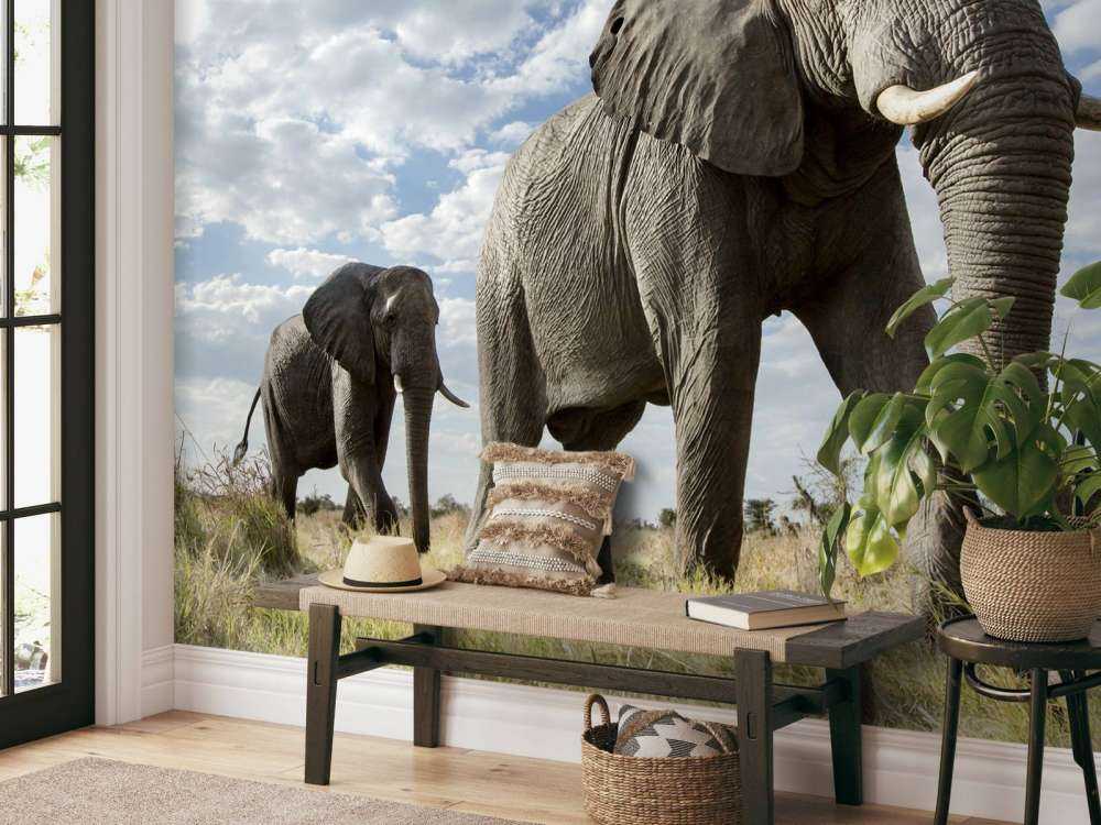 Elefanti di passaggio