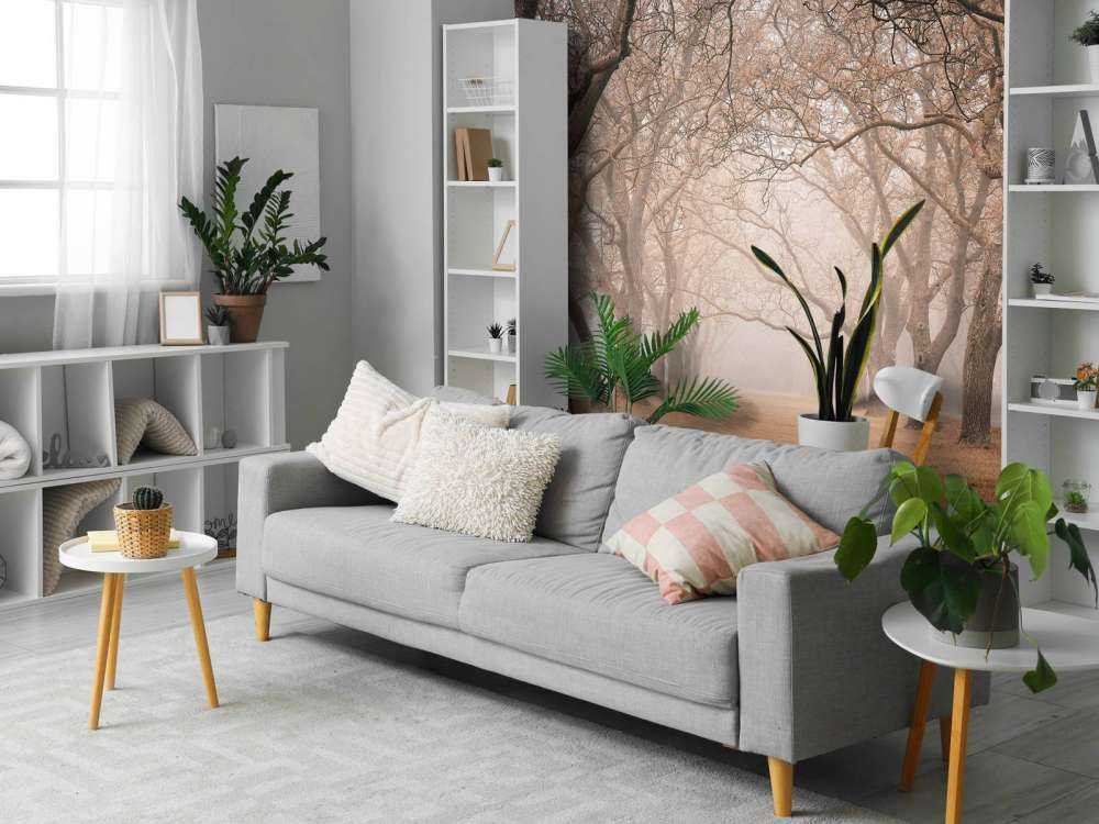 Fila di alberi secolari