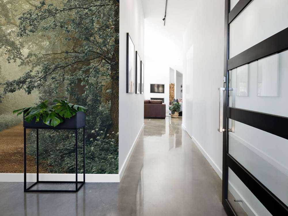 Sentiero nella foresta con nebbia