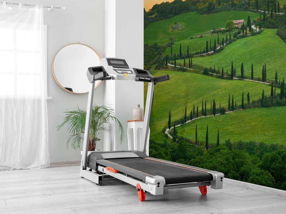 Strada tortuosa con cipressi