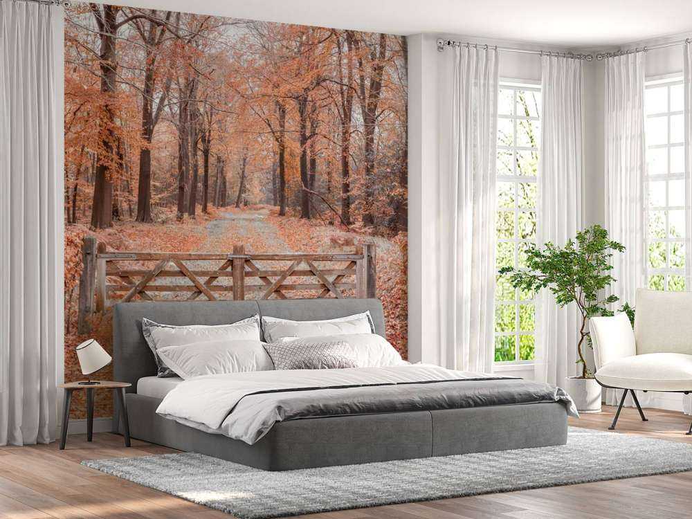 Passaggio alla foresta autunnale