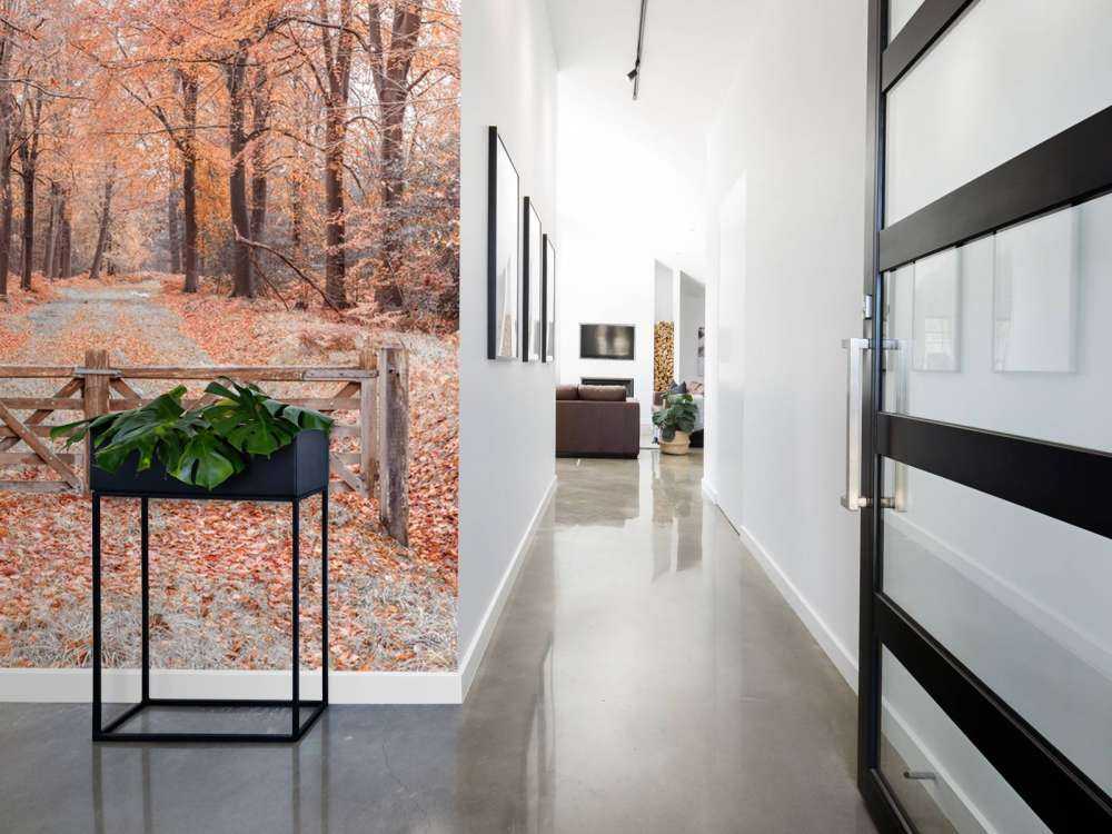 Passaggio alla foresta autunnale