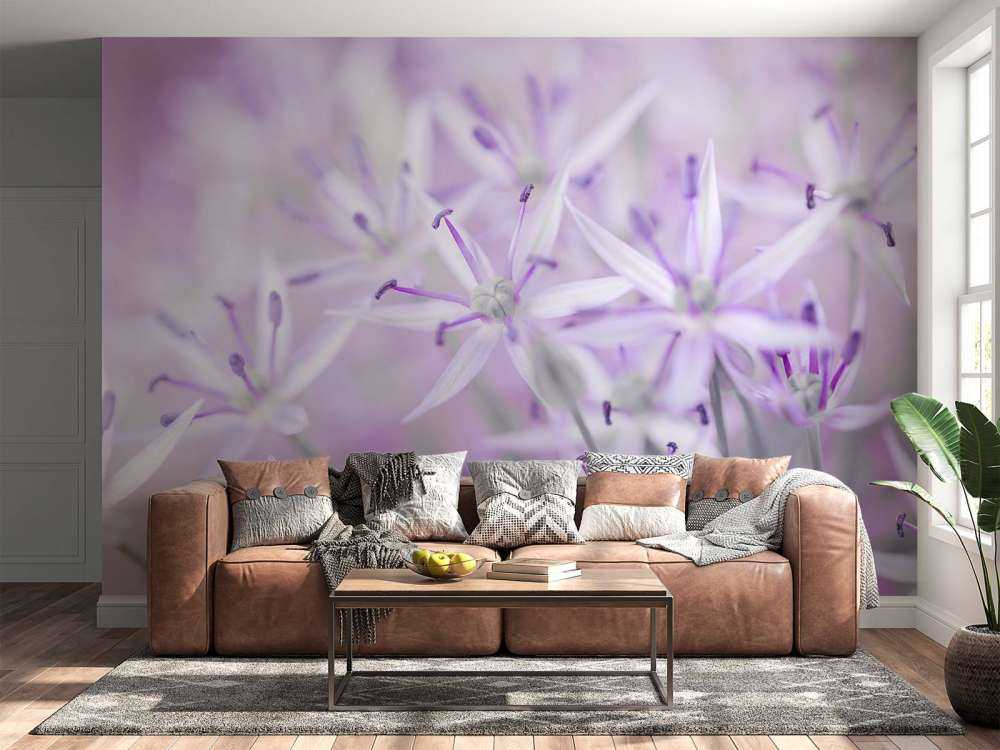 Primo piano di fiori di allium