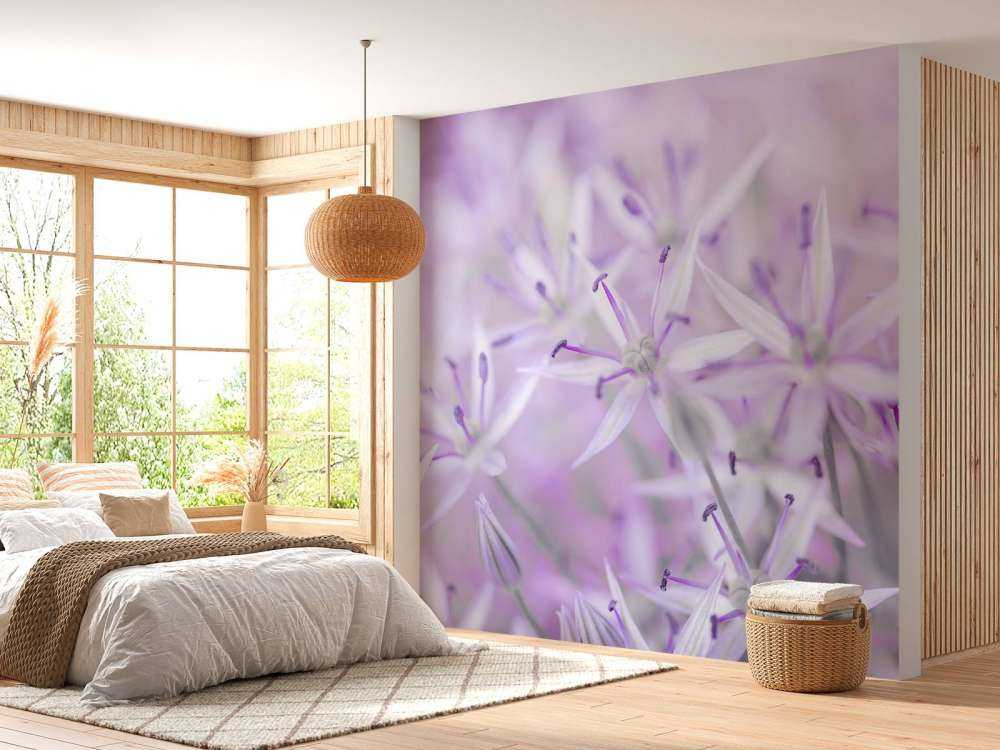 Primo piano di fiori di allium