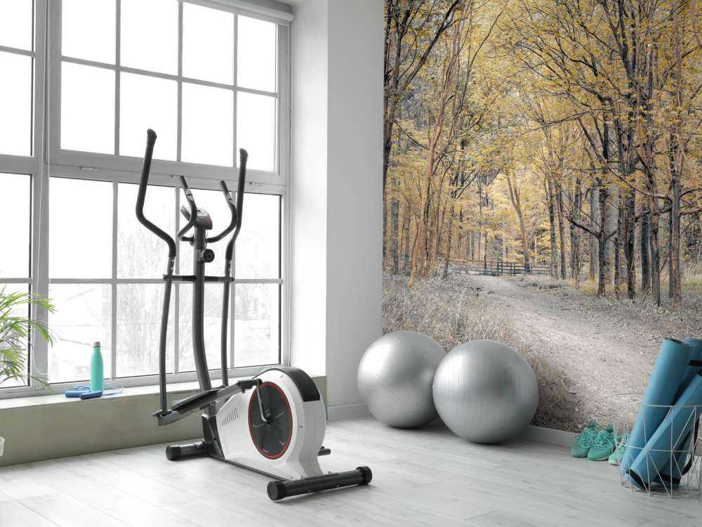 Strada forestale in autunno