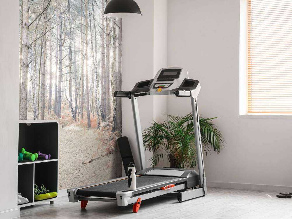 Sentiero sabbioso attraverso la foresta