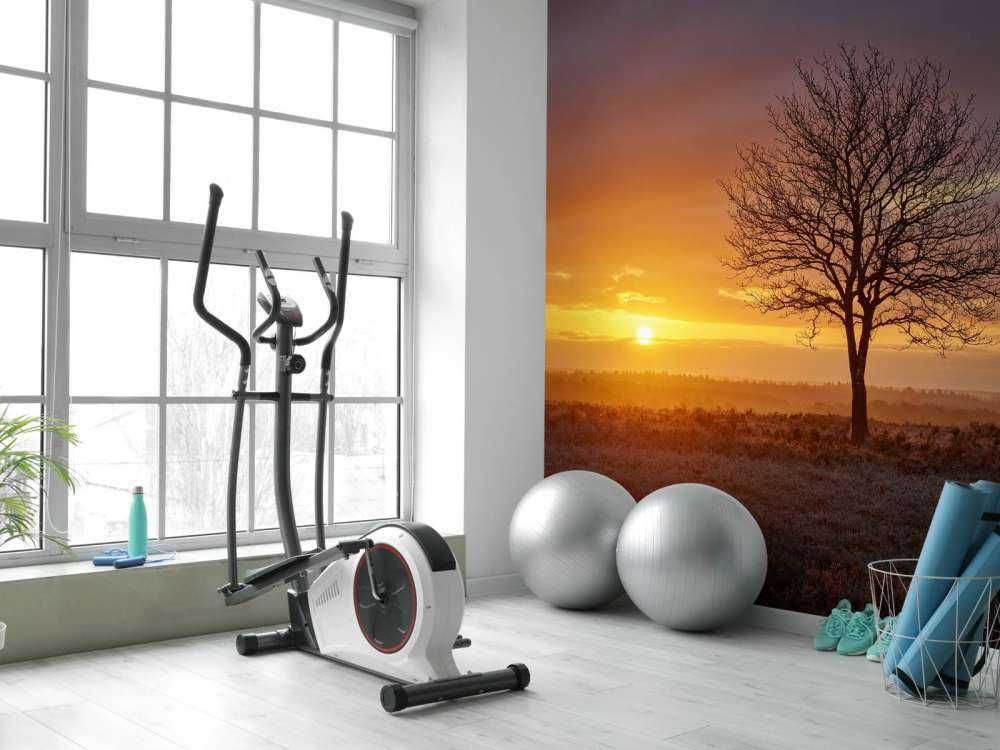 Alba colorata sulla brughiera