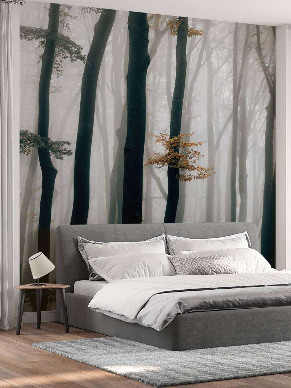 Nebbia nella foresta di faggi