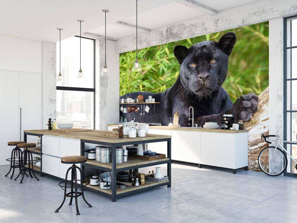 Pantera nera su un albero