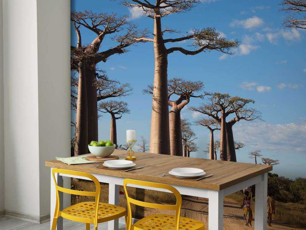 Alberi di baobab
