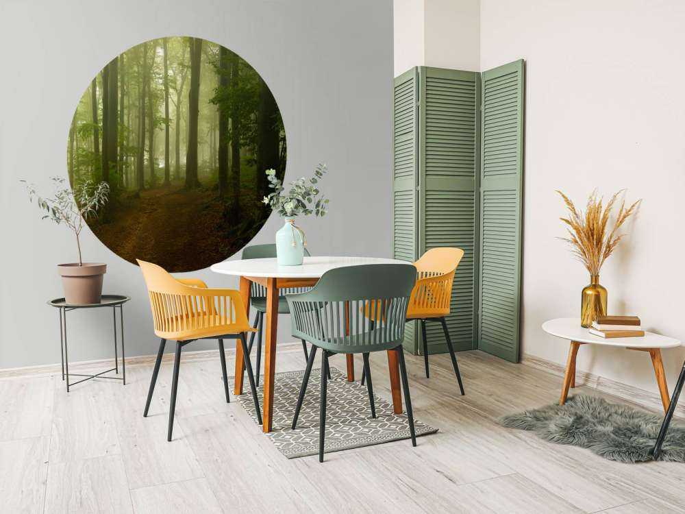 Sentiero attraverso la foresta verde nebbioso