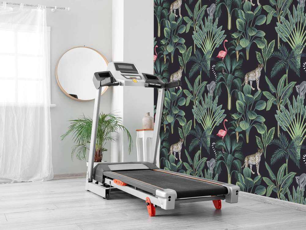 Animali selvatici tropicali