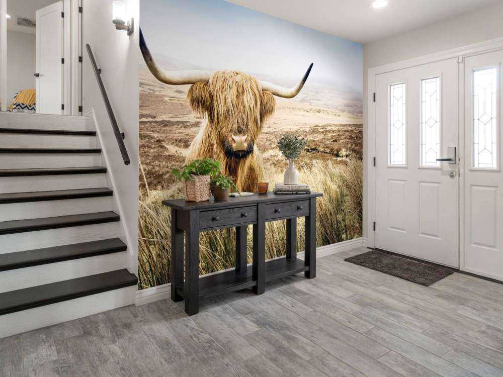 Highlander scozzese con canna