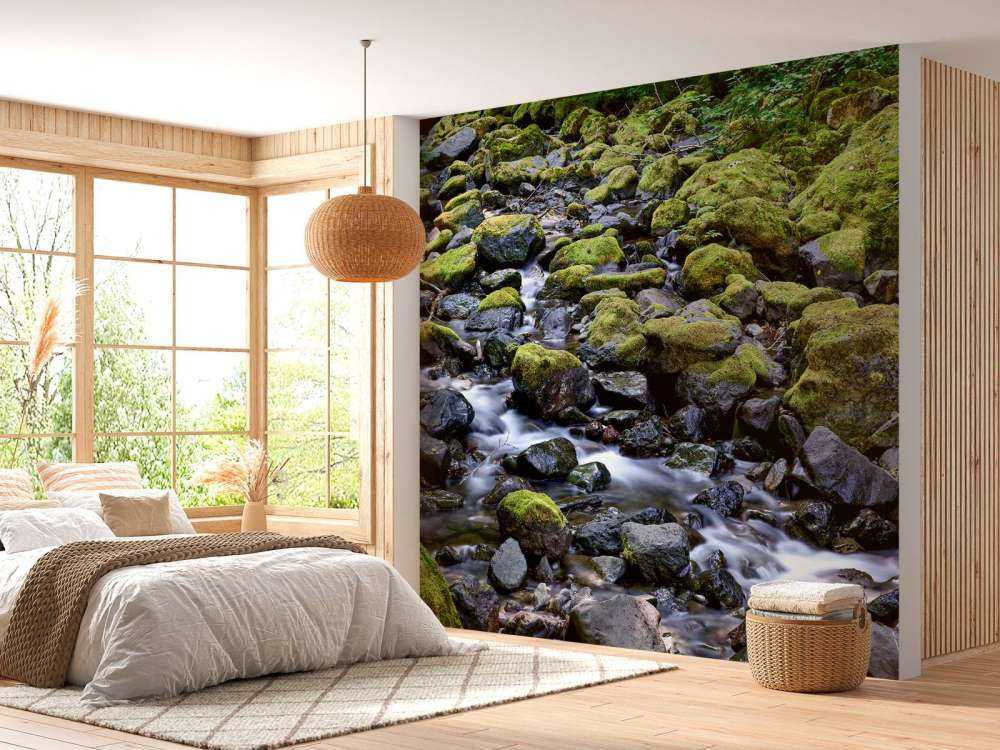 Acqua corrente con massi