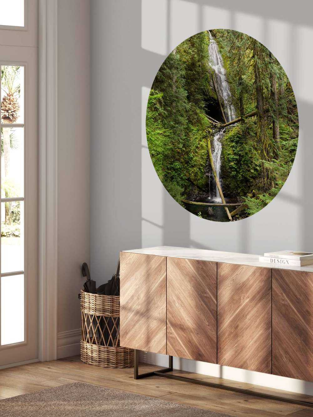 Cascata con alberi caduti