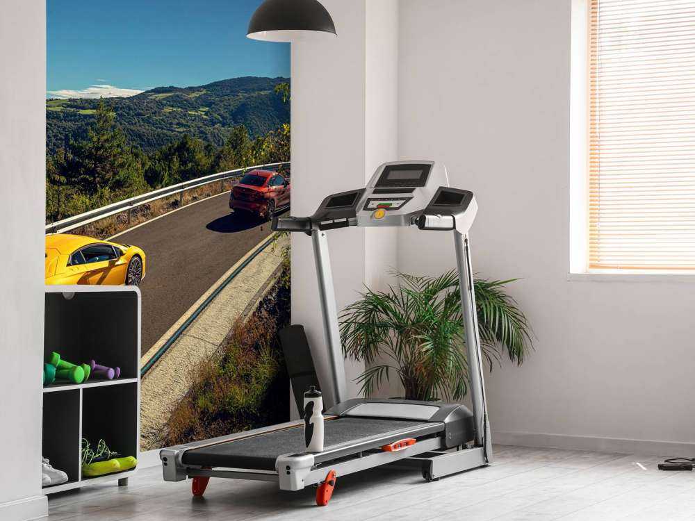 Curve rapide, motori potenti