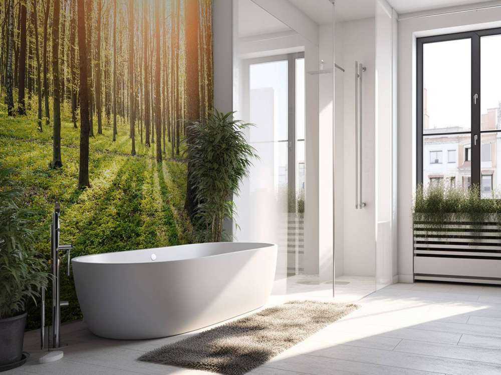 Sole serale in un bosco