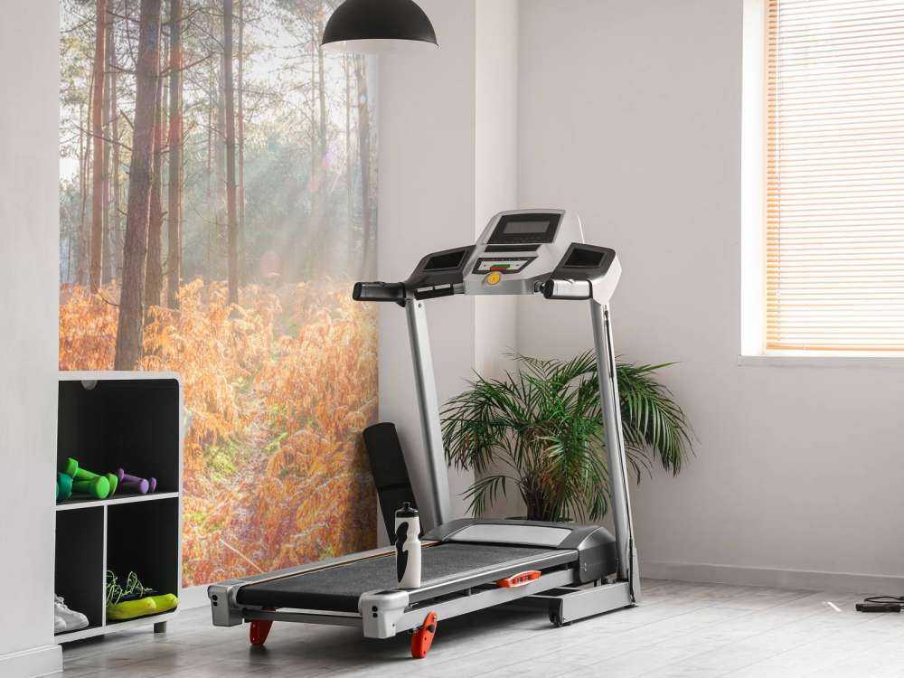 Raggi di sole attraverso la foresta