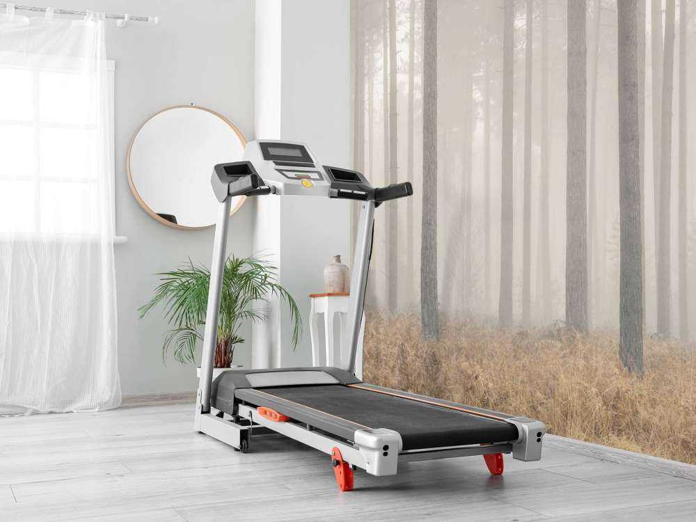 Foresta misteriosa e nebbiosa