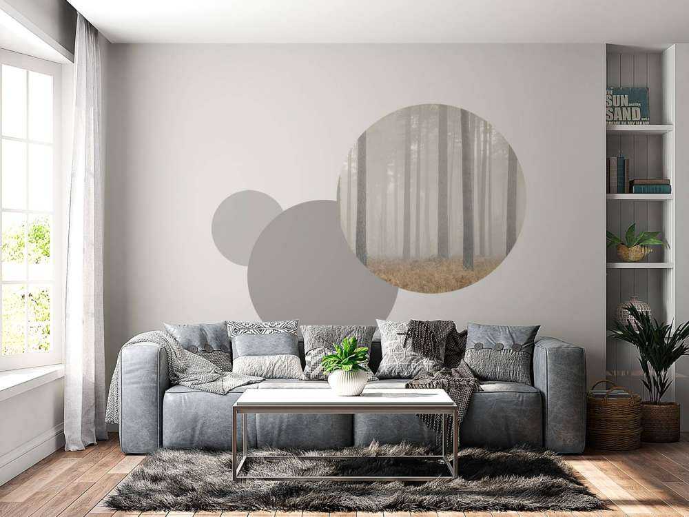 Foresta misteriosa e nebbiosa