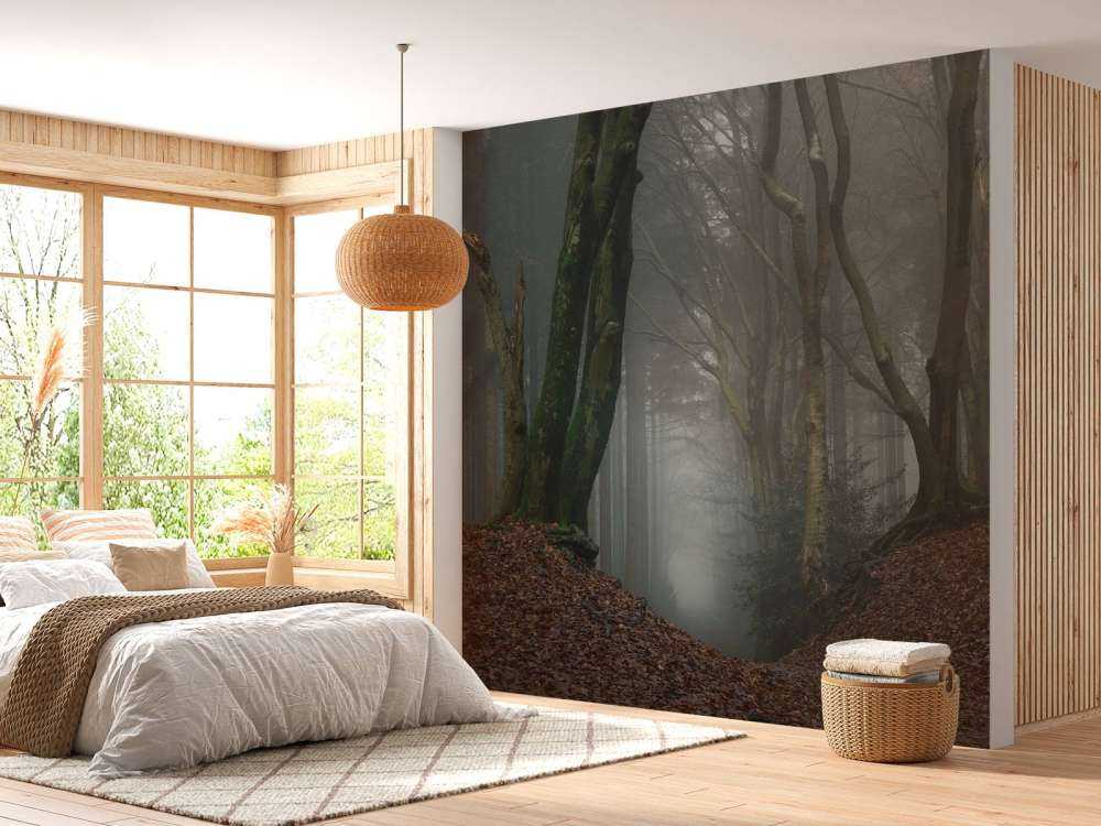 Sentiero attraverso la foresta misteriosa