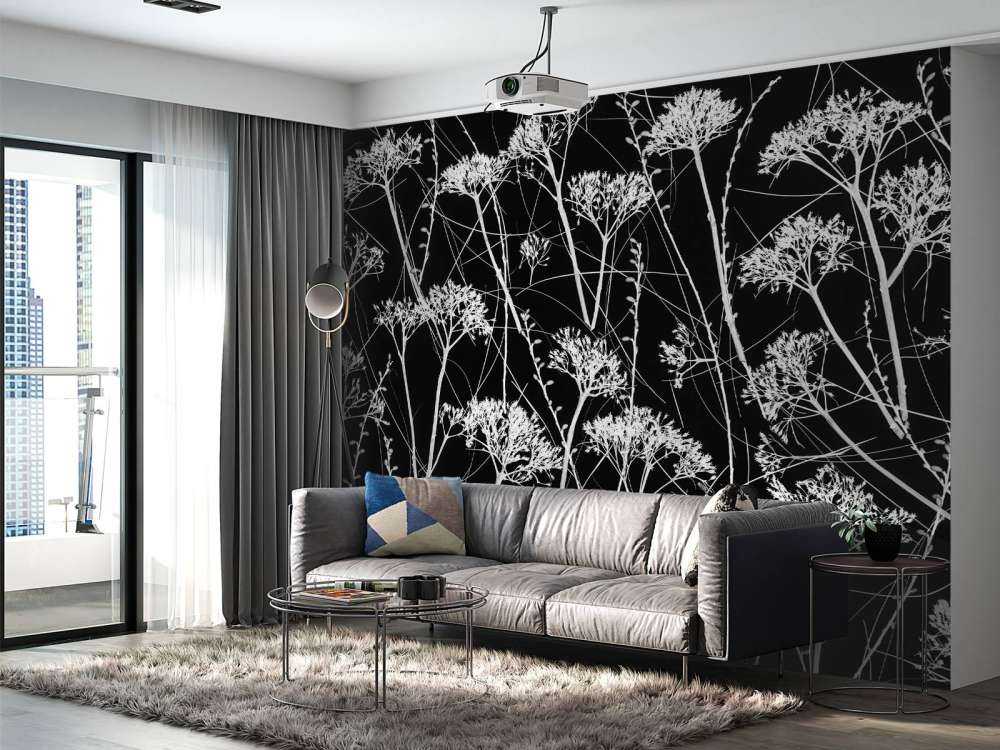 Silhouette di piante secche