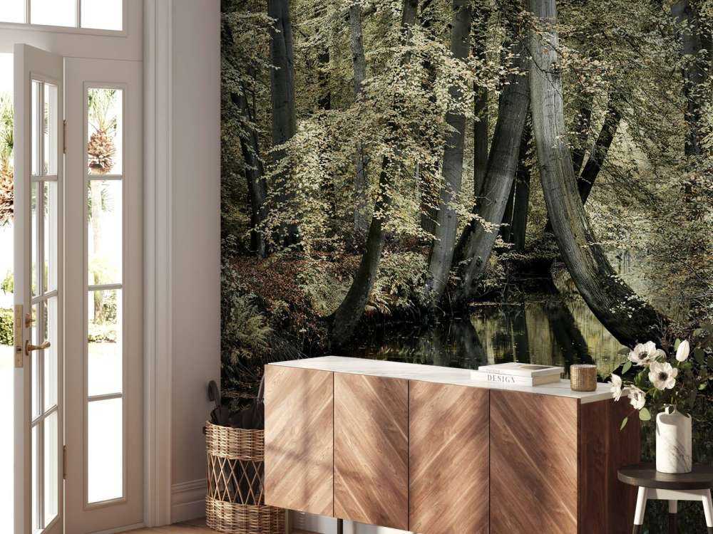 Ruscello con alberi sospesi