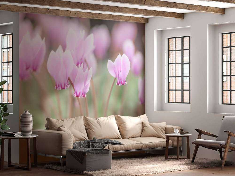 Bellissimi fiori di edera