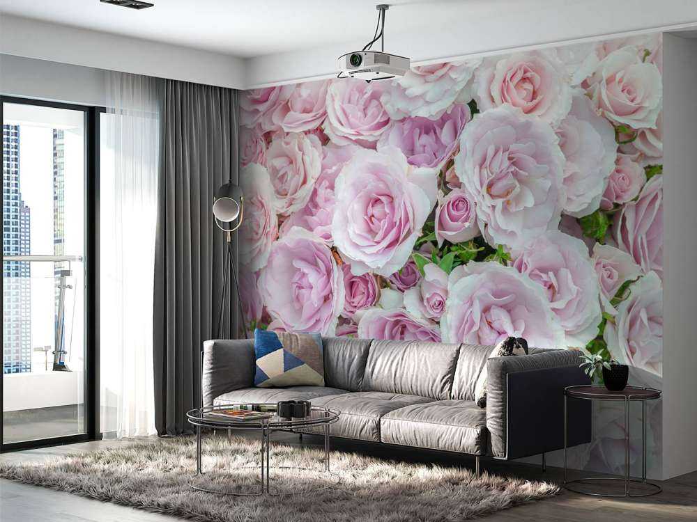 Rose colorate bianche e rosa