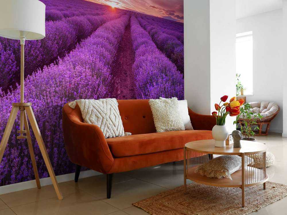 Grande campo pieno di lavanda