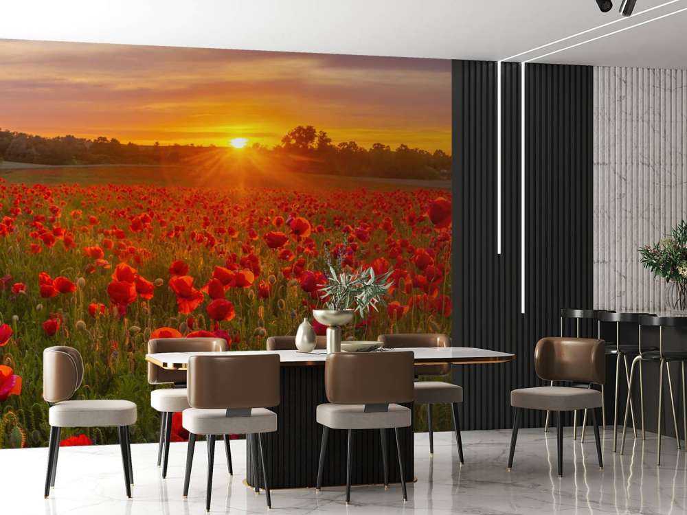 Campo di papaveri in fiore