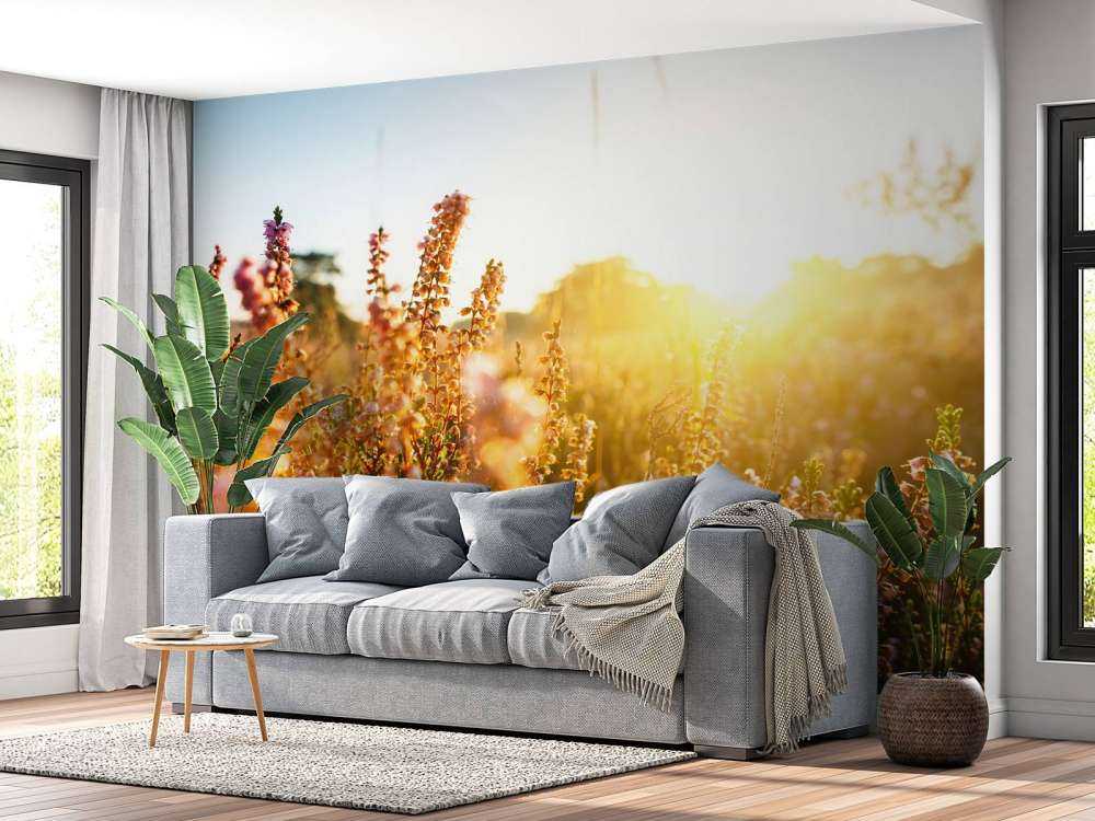 Impianto di erica da vicino