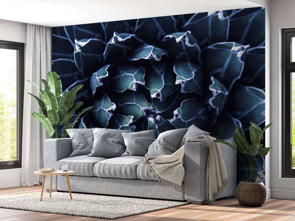 Succulenta blu scuro